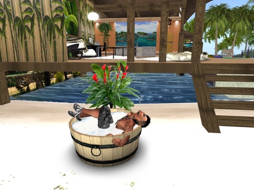 Web 57260710e85cda6b13000001