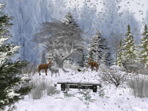 Web 5fcdd4236112fb6469842f37