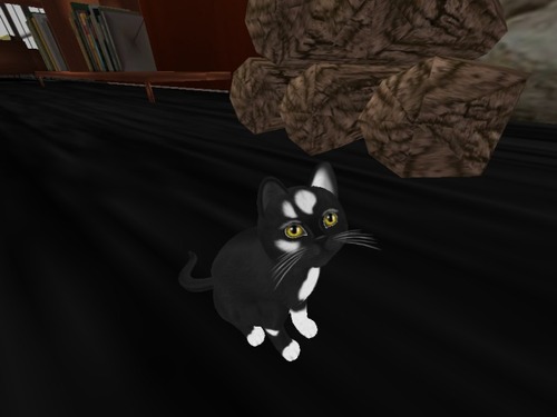 Web 564311fc9934e06a58000001