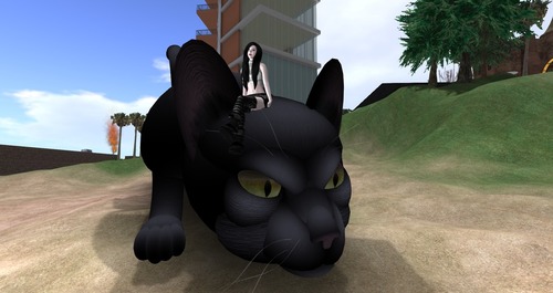 Web 51bbb5dc3aa7e41546000001