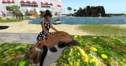 Web 51b98baaf392ba1b45000001