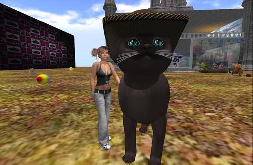 Web 5ab024f8d9859c6618000001