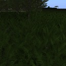 Thumb 562fa0d43f942f5ed3000001