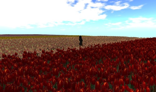 Web 589ef754f8a1ec0ec8000001