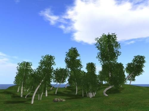 Web 5f1357f9d9859c297fc29abb