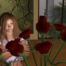 Thumb 51e383571dd6326b74000001