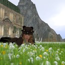 Thumb 52e33e5c8da5720f0e000001