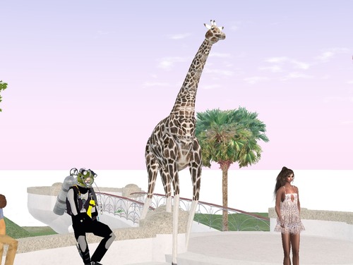 Web 51c05b4ef63338770d000001