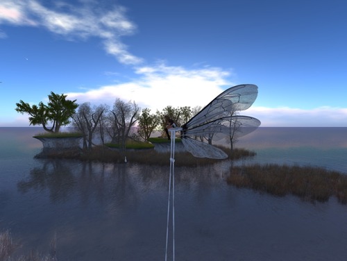 Web 51d4163a02a3e301c5000001