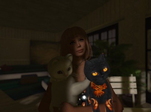 Web 528236f929d0af49d7000001