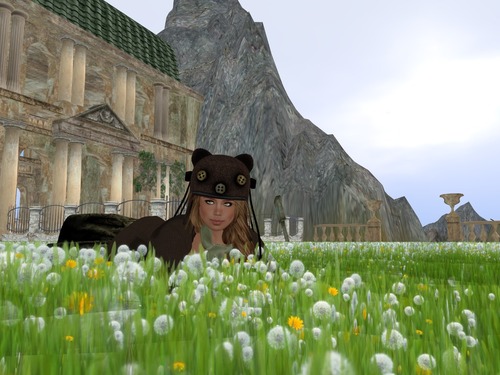 Web 52e33e5c8da5720f0e000001