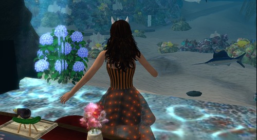 Web 541fb63a128cc9797b000001