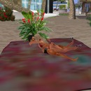 Thumb 542692c0f8a1ec017d000001