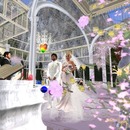 Thumb 567eed83f8a1ec341a000001