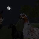 Thumb 5b74750dd774f8378a000001