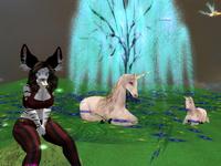 Small 5aed4edcd774f817f3000001