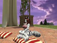 Small 5eea4dbd289dd221705f38ef