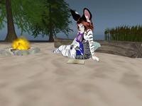 Small 62a2ac6349afba68751aac37