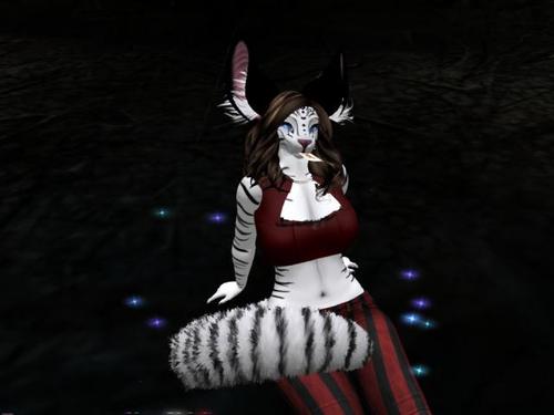 Web 5ac32251d774f8414e000001