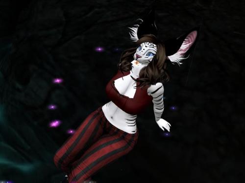 Web 5ac323b4d774f84bf5000001