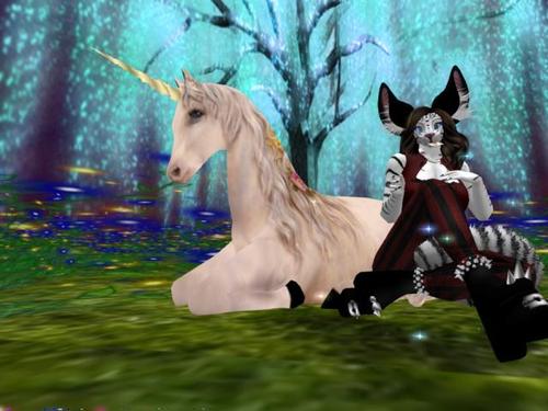 Web 5ac3296fd774f87019000001