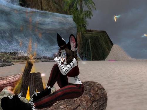 Web 5aed50dc289dd20637000001