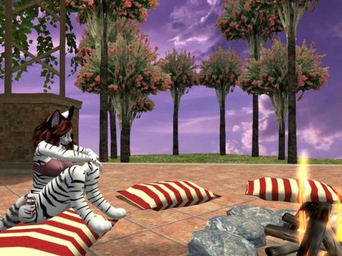 Web 5eea50a373ed176e6481a137