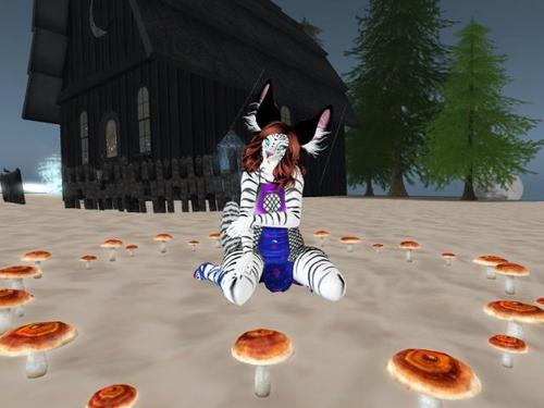 Web 62a2b0d16f13176d435654ad