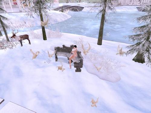 Web 5a783786d774f8546f000001