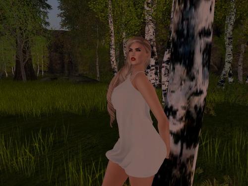 Web 5a7c97ab289dd2547a000001