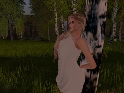 Web 5a7c97e3289dd2582e000001