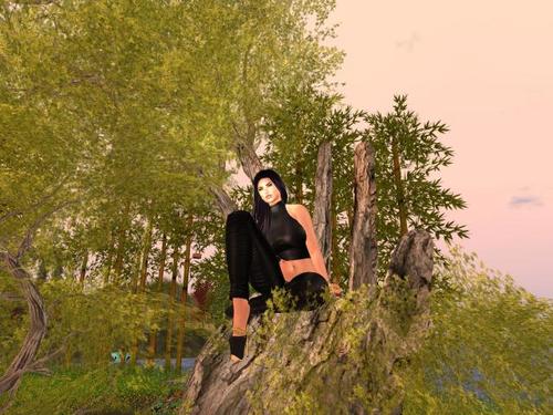 Web 5dae3db1289dd225fb000001