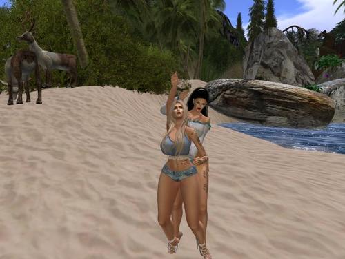 Web 5dcffcd273ed170aaa000001