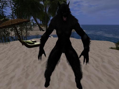 Web 5dd51066d9859c4d7b000001