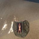 Thumb 601c3e446cd0953b784a99f4