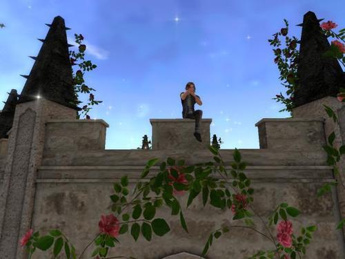 Web 61eef03ff0a7762c4032a523