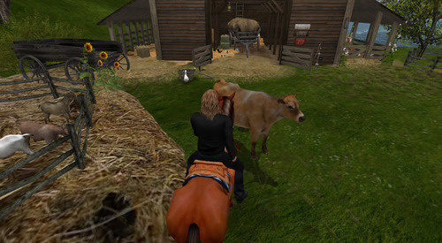 Web 672fae0fa35fe756845040e5