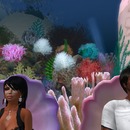 Thumb 5334287ca73e210b16000001