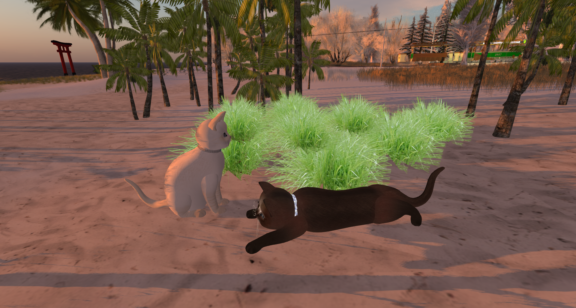 Original 5a415078289dd249aa000001