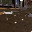 Thumb 59a76ea8d9859c3675000001