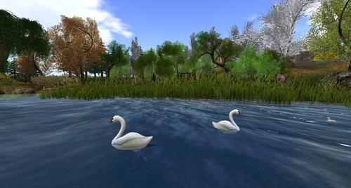 Web 5a2157ffd9859c327a000001