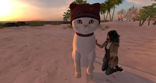 Web 5a4ad71973ed1708e9000001