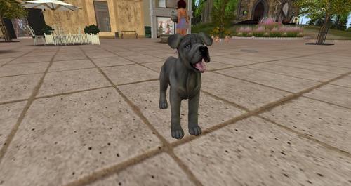 Web 5b9fd155d774f87e90000001