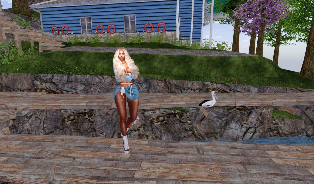 Original 668ecc39560cd749cb1f86af