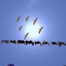 Thumb 642b2f0689c98106cfb462dc