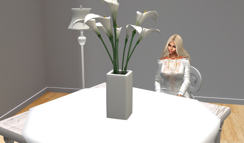 Web 642c83e43d8d3c5ff0dca015