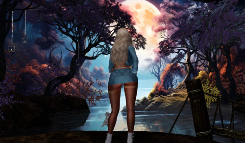 Web 668ec72ad0ae2a5fa7c26005