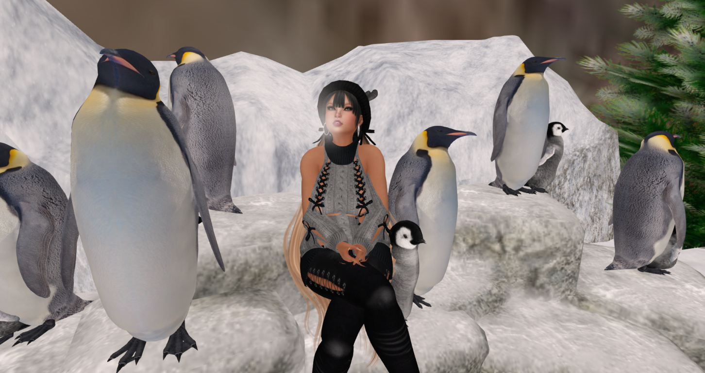 Original 61c9f51628592470450738e1