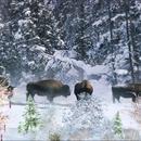 Thumb 5e9f0125d774f8032129e566