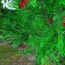 Thumb 5e9f036e289dd263b139b0b8